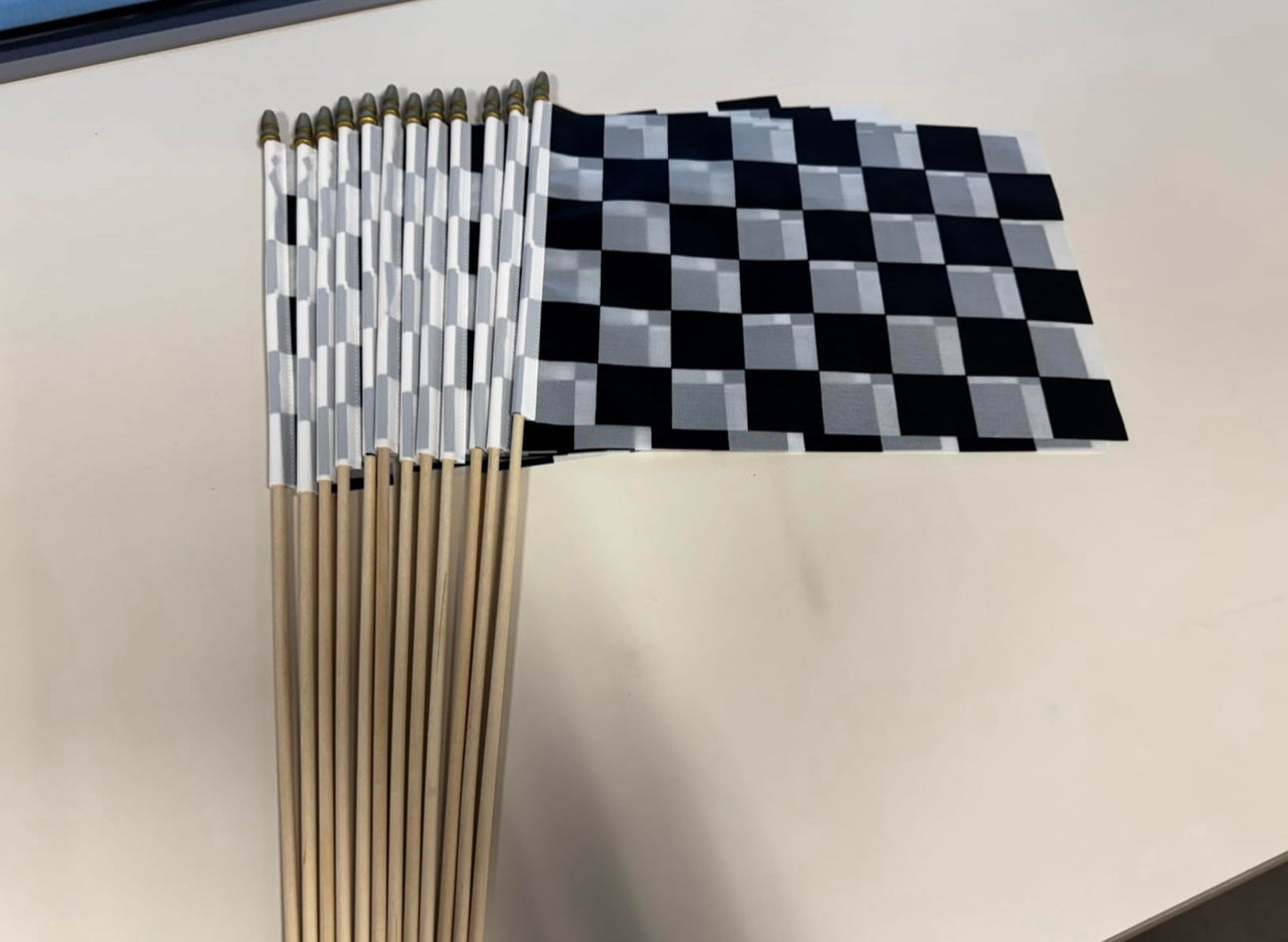 Checkered Flags (size: 8x12)